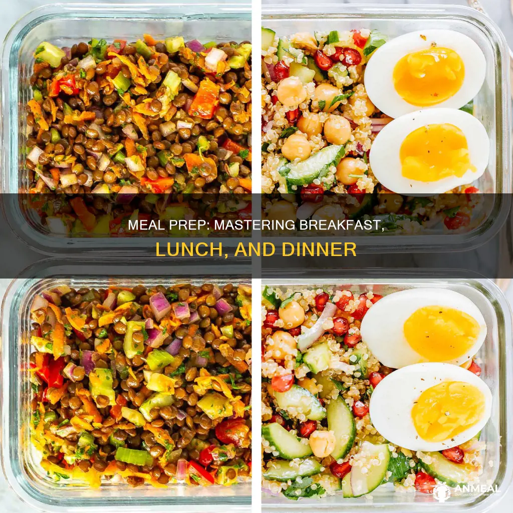 do you meal prep breakfast lunch and dinner