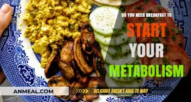 Metabolism and Breakfast: Is It a Myth?