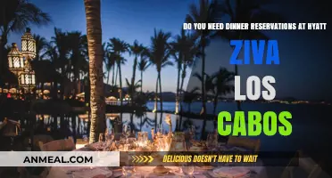 Hyatt Ziva Los Cabos Dinner Reservations: Are They Necessary?