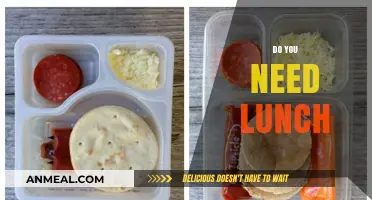 Skip the Midday Meal: Rethinking Lunch in a Busy World