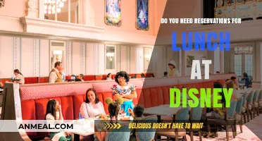 Lunch at Disney: Reservation Requirements and Insider Tips