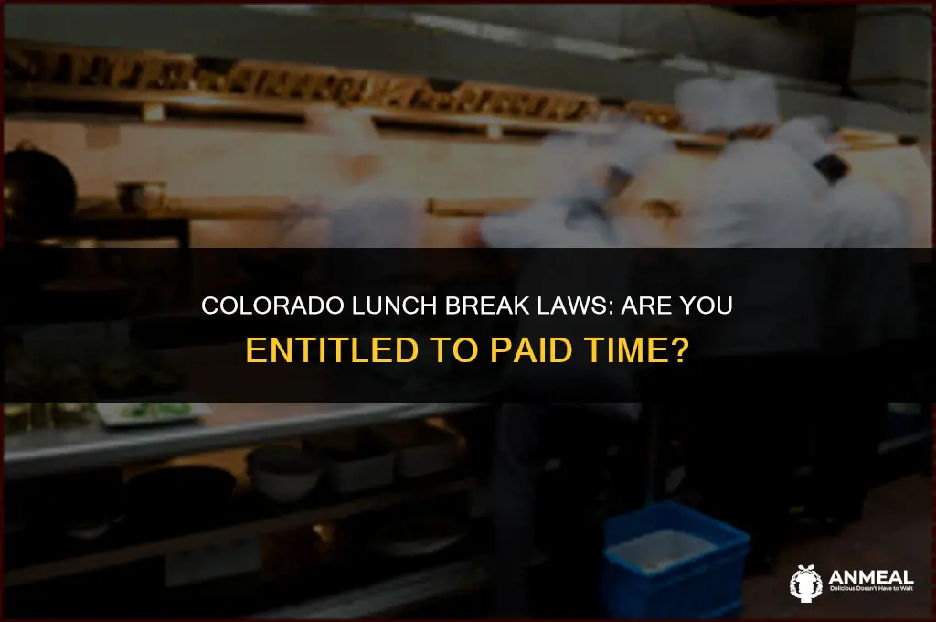 do you need to be paid for lunch in colorado