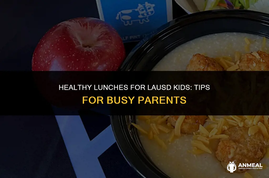 do you pack lunch for lausd kids
