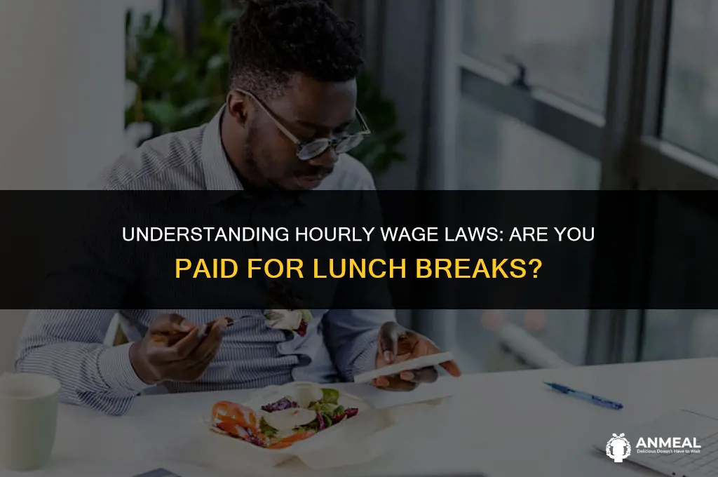 do you pay for lunch hour when hourly wages