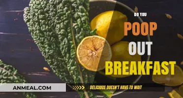Do You Poop Out Breakfast? Understanding Digestion and Morning Meals