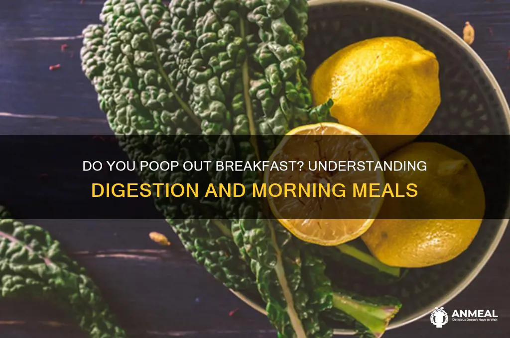 do you poop out breakfast