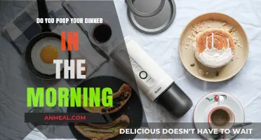 Morning Poop Mysteries: Unraveling Dinner's Digestive Journey Overnight