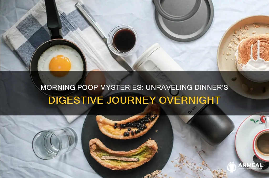 do you poop your dinner in the morning