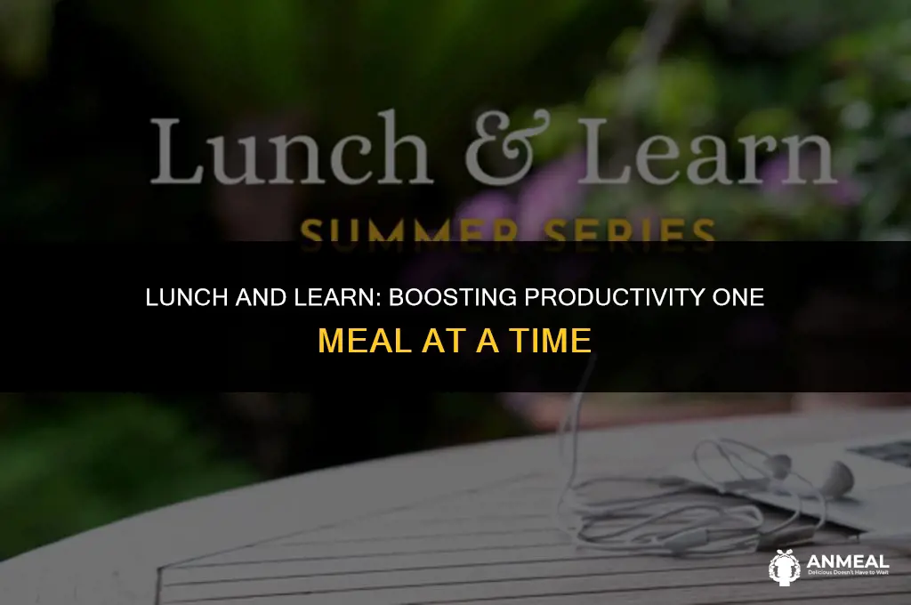 do you provide a lunch and learn