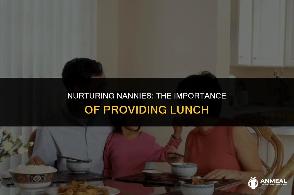 do you provide lunch for nanny
