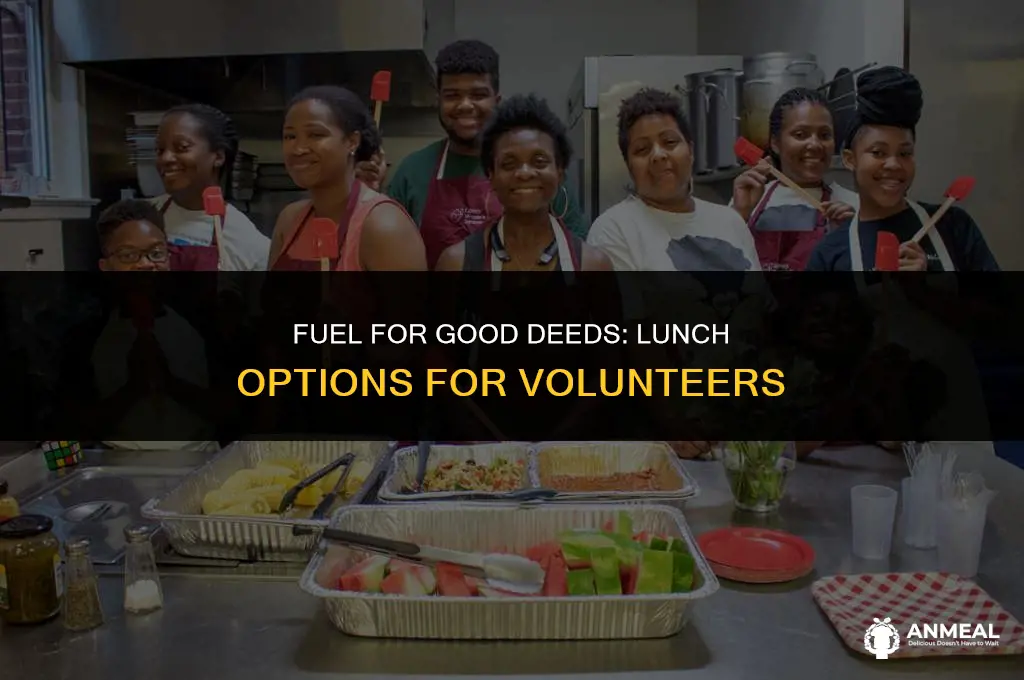 do you provide lunch for volunteers