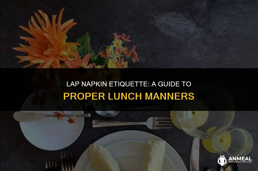 do you put a lunch napkin on your lap