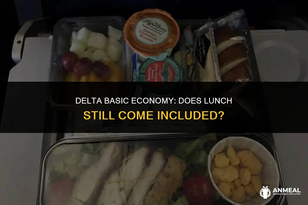 do you still get lunch basic economy delta