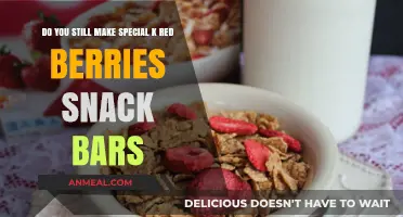 Reviving Memories: The Timeless Appeal of Special K Red Berries Snack Bars