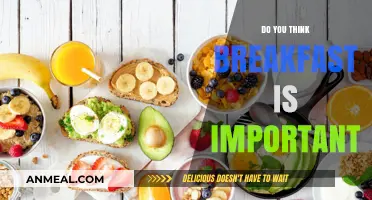 Breakfast: Essential Energy Source or Unnecessary?