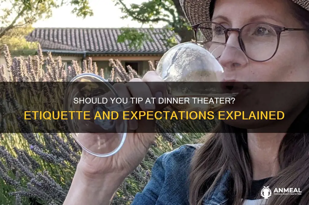 do you tip at dinner theater
