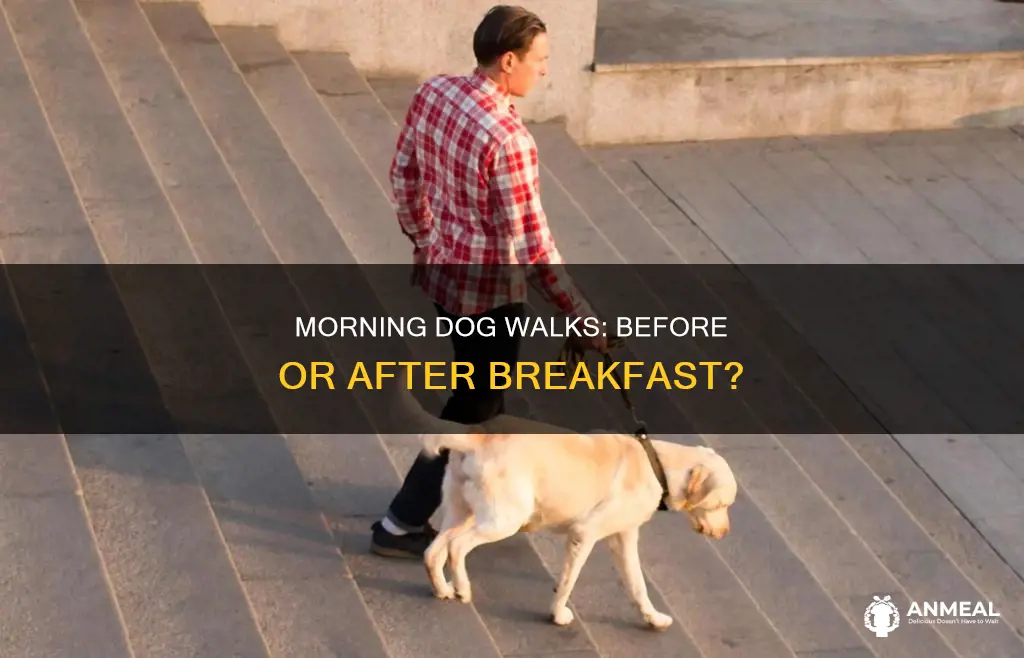 do you walk a dog before or after breakfast