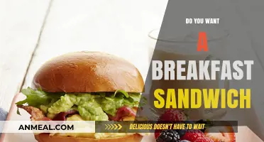 Breakfast Sandwiches: Quick, Easy, and Delicious Morning Fuel