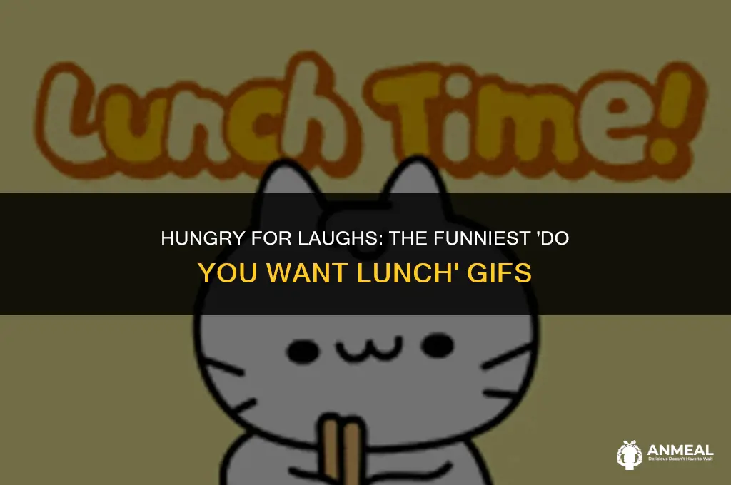 do you want lunch gif