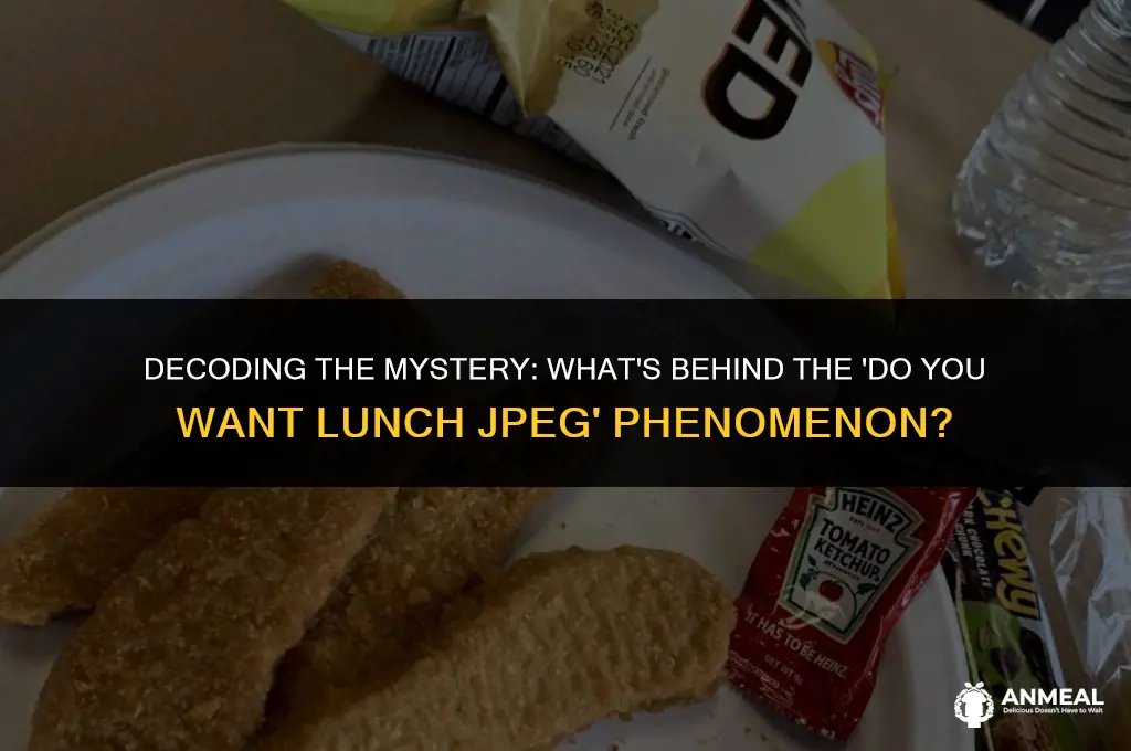 do you want lunch jpeg