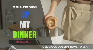 Fetching Dinner: Exploring the Phrase 'Do You Want Me To?