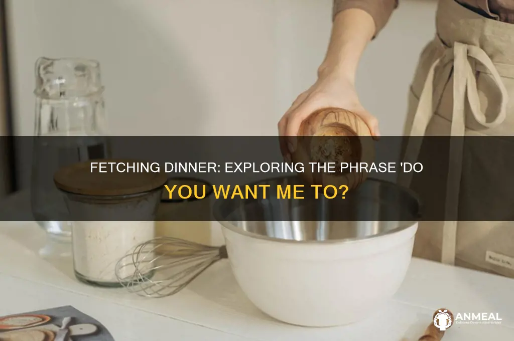 do you want me to fetch up my dinner