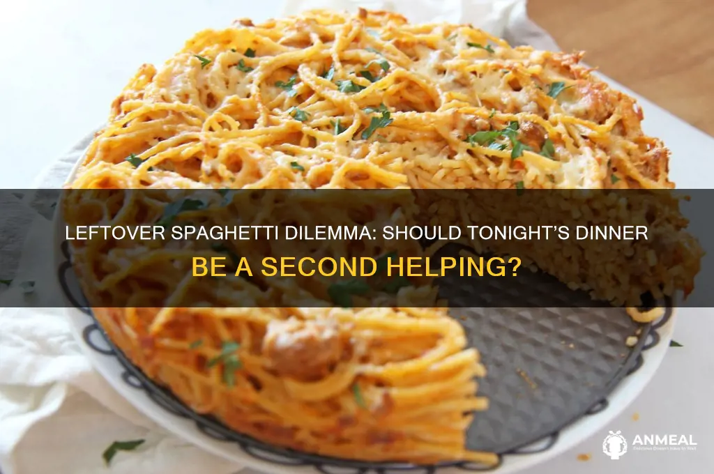 do you want the leftover spaghetti for dinner