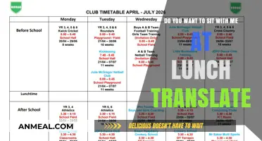 Breaking Language Barriers: The Power of Translation at Lunchtime