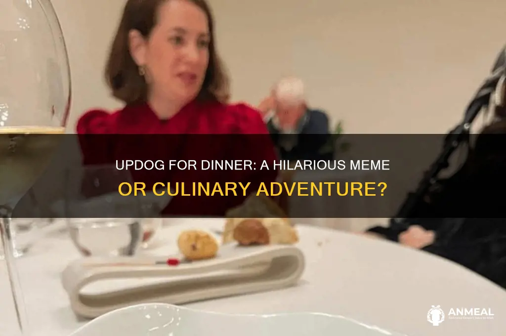 do you want updog for dinner