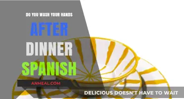 Handwashing After Dinner: Spanish Habits and Hygiene Explained
