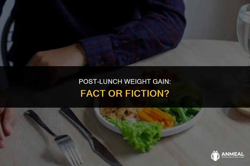 do you weigh more right after lunch