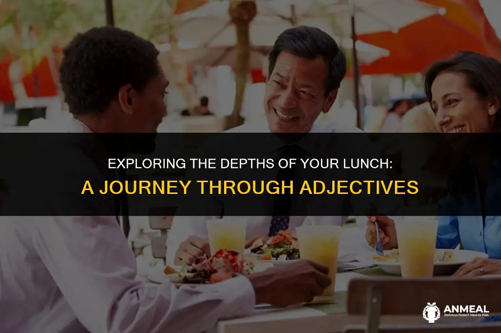 do you you have enough lunch adjective