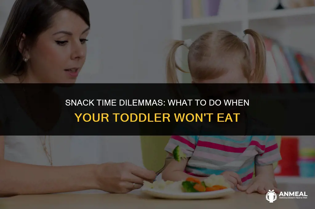 do yoy give your toddler snacks if they dont eat