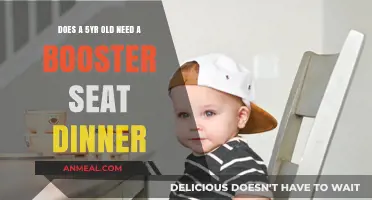 Booster Seat for Toddlers: Essential for Safe and Comfortable Dinners?