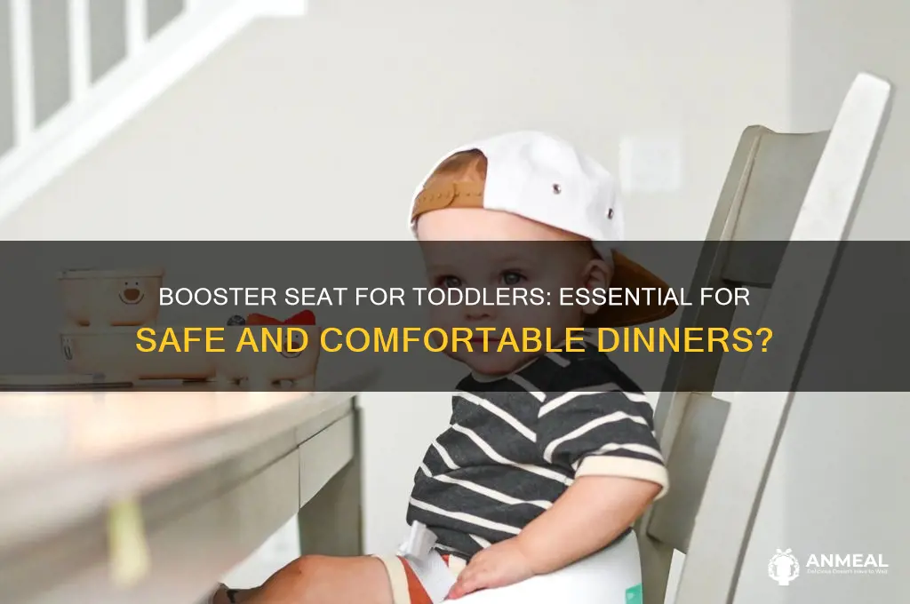 does a 5yr old need a booster seat dinner