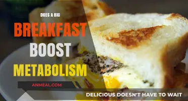 Big Breakfasts: Metabolism Superchargers or Myth?