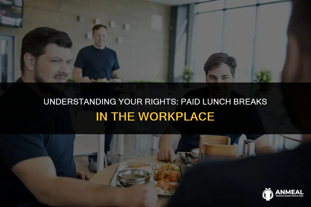 does a company have to give you paid lunch
