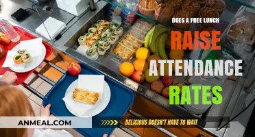 Exploring the Impact of Free Lunches on Student Attendance Rates