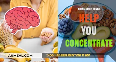 Fuel Your Focus: The Power of a Good Lunch on Concentration
