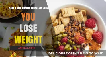Protein-rich Breakfasts: Key to Weight Loss?