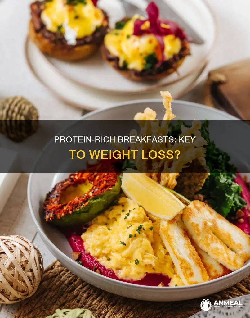 does a high protein breakfast help you lose weight