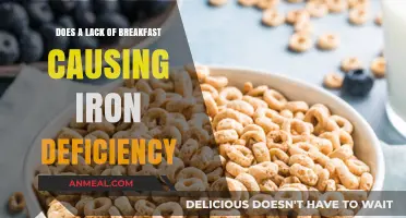 Iron and Breakfast: What's the Connection?