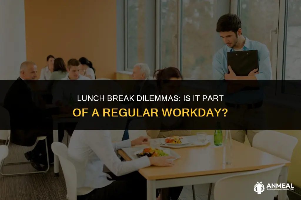 does a regular work day include lunch