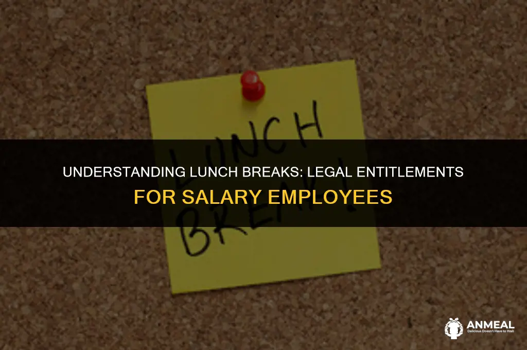 does a salary person by law get an hour lunch
