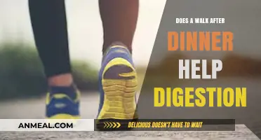 Post-Dinner Stroll: Boosting Digestion or Just a Myth?