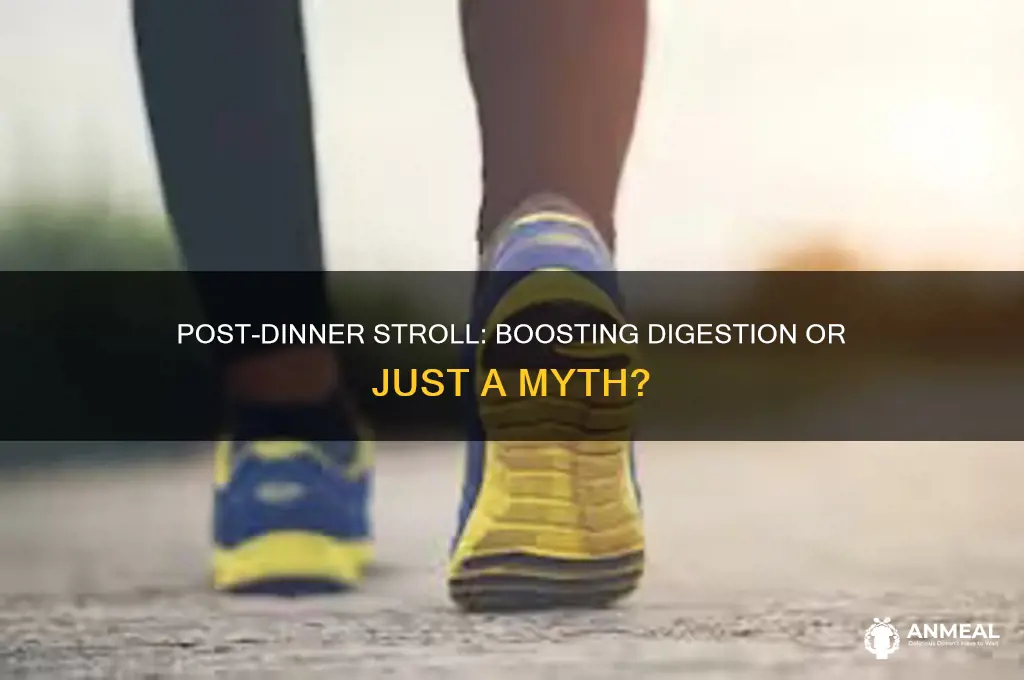 does a walk after dinner help digestion