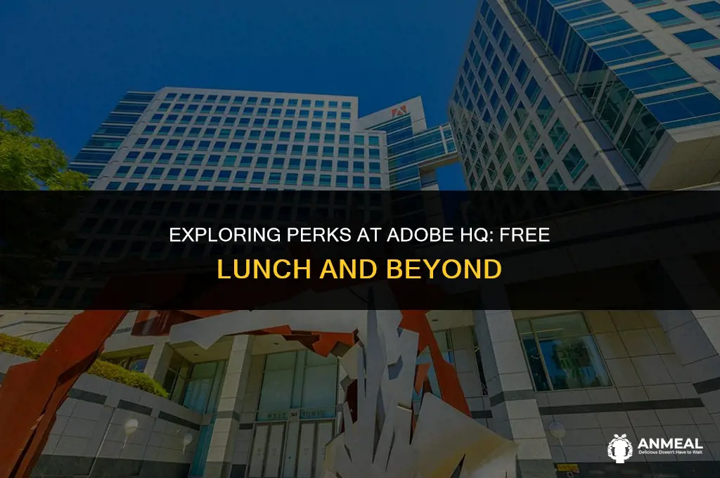 does adobe hq has free lunch