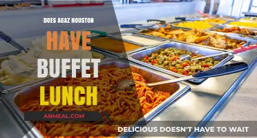 Savoring Houston: Agaz's Buffet Lunch Scene Explored