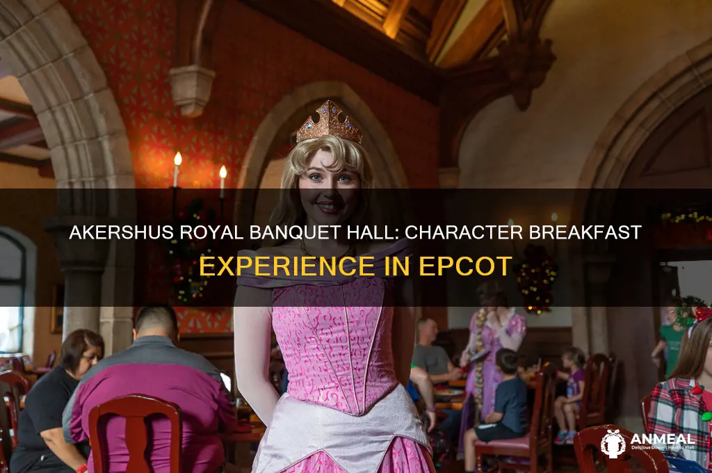 does akershus have character breakfast