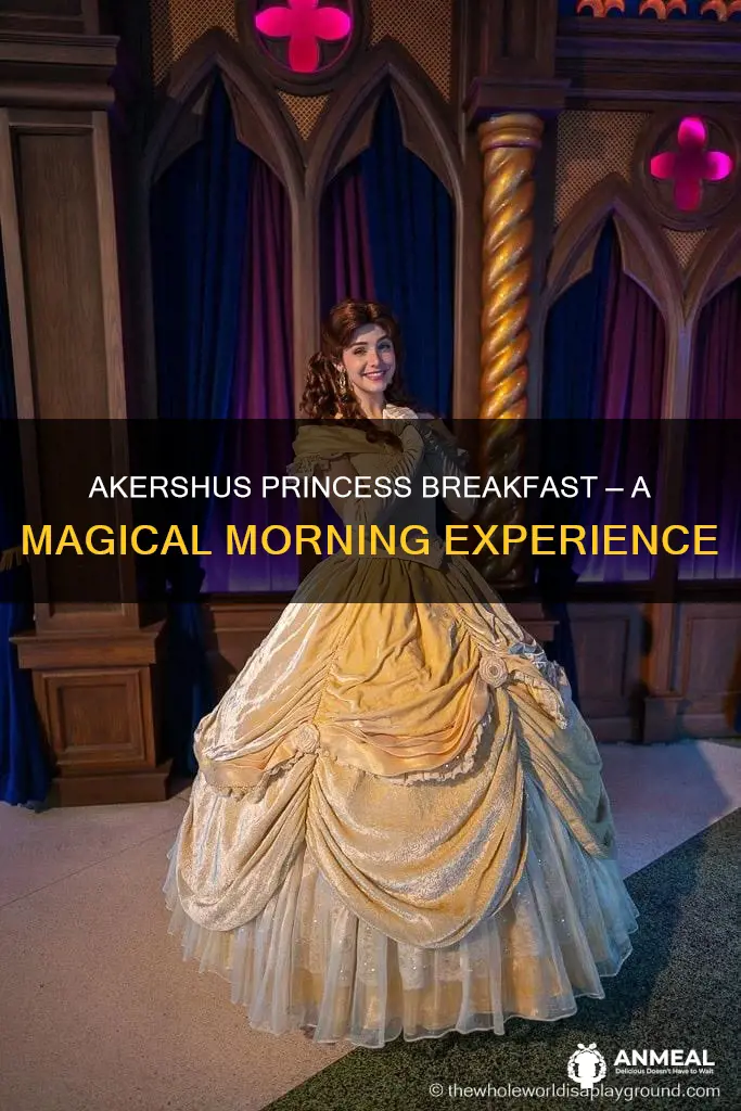 does akershus have princesses at breakfast